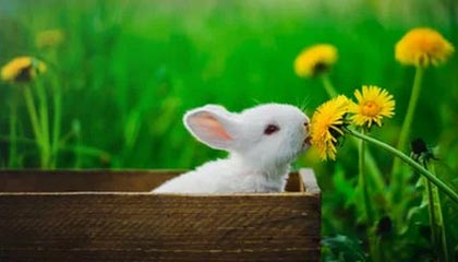 开云体育APP下载-中超球队进攻空间利用效率对比报告，中超 客场进球