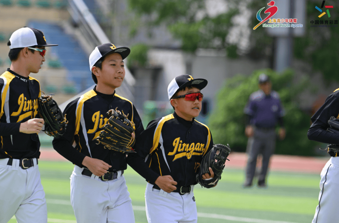 全国少年棒球赛,小将们的竞技舞台 全国少年棒球赛,小将们的竞技舞台