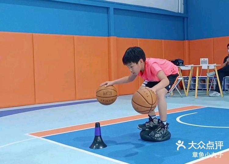 开云官方网页登录-新秀之路：未来篮球之星的成长轨迹的简单介绍